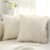 decorUhome Decorative Throw Pillow Covers 18×18, Soft Plush Faux Wool Couch Spring Pillow Covers for Home, Set of 2, Beige