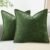 decorUhome Chenille Soft Spring Throw Pillow Covers 18×18 Set of 2, Farmhouse Velvet Pillow Covers, Decorative Square Pillow Covers with Stitched Edge for Couch Sofa Bed, Forest Elf
