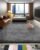 Ophanie Area Rugs for Bedroom Living Room, Grey Fluffy Fuzzy Shag Shaggy Soft Plush Carpet, 4×6 Indoor Floor Gray Rug for Kids Home Dorm Decor Aesthetic
