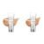Physicians Formula Super BB Cream Foundation SPF 30 Light & Medium Tones | Dermatologist & Clinicially Tested