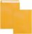 10×13 Catalog Envelopes Self Seal 100 Pack, Goefun 100GSM Paper Yellow Brown Manilla Envelopes with Peel and Seal Flap for Mailing, Organizing and Storage