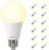 Light Bulbs,100 Watt Light Bulb Eqv, Warm Light Bulbs LED 1500LM, Soft White Light Bulb E26, 13W Bright Standard Appliance Light Bulb, 15000H, Non-Dimmable, White Light Bulbs for Rooms, 12 Pack