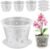 4Set Orchid Pots with Holes and Tray 4 Inch Tall Clear Plant Pots with Drainage Plastic Clear Pots for Plants for Indoor Outdoor Potted Flowers Plants Clear Plant Pots with Drainage Orchid Pot Clear