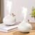 Creative Small Onion Humidifier Mini USB Office Desktop Air Conditioning Room Large Mist Humidifier