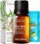 Gya Labs Australian Tea Tree Oil for Skin Hair Face & Toenails – 100% Natural Melaleuca Oil Tea Tree Essential Oil for Piercings Scalp Hair & Candle Making Scent – 100% Pure Oils (0.34 fl oz)