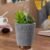 Essential Oil Diffuser Plant Air Humidifier Aromatherapy Waterless Auto Off Office Mist Sprayer 200ml