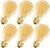 A19 Vintage LED Edison Light Bulbs 40 Watt, 6 PACK E26 Dimmable 4W LED Amber Warm 2200K Light Bulbs, 4W A19 LED Edison Bulbs Equal Incandescent 40Watt, Antique Spiral LED Decorative Light Bulb,CRI 90+